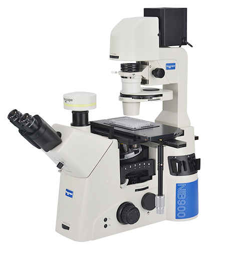 NIB900研究级倒置生物显微镜